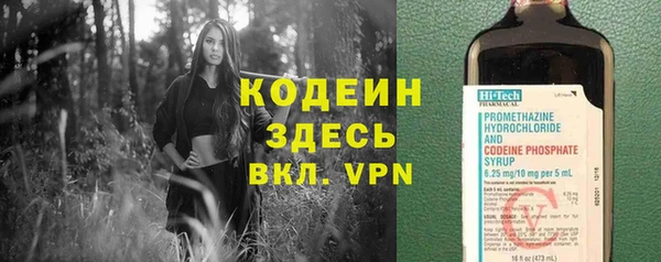 гашик Кулебаки