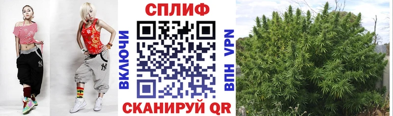 Шишки марихуана марихуана  Купить  Салехард 